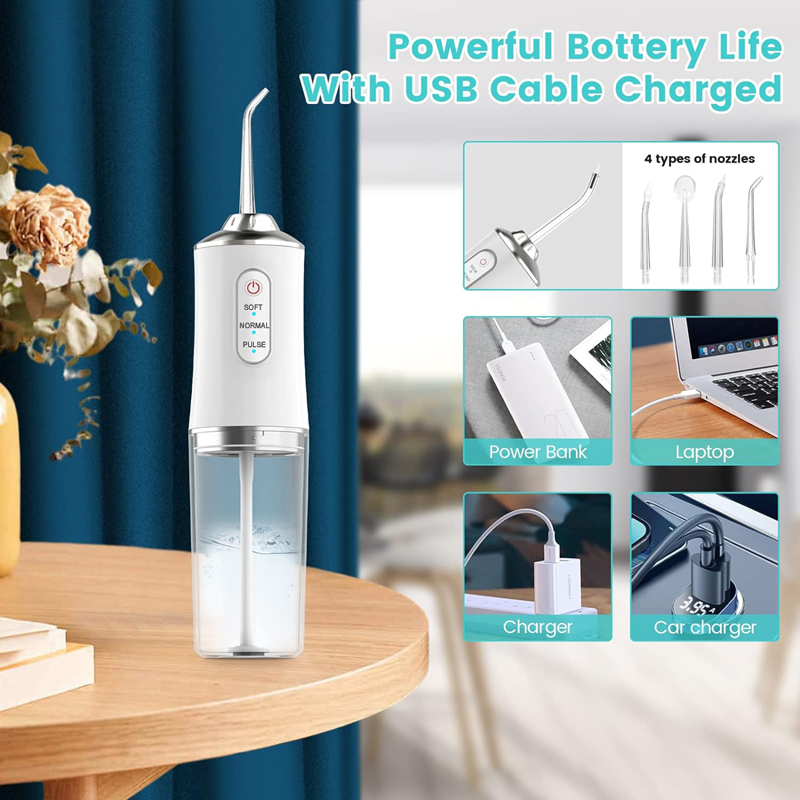 口腔洗浄器歯科用ウォータージェットフロッサーアプライアンスピ - Dental Floss Picks のレビューと価格