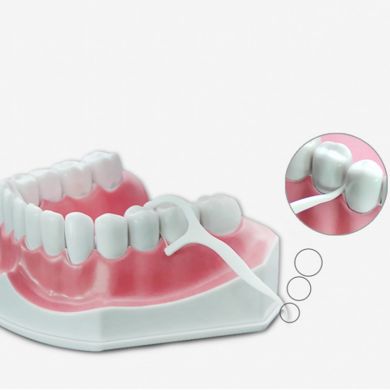 50 個デンタルフロスフロッサーピック歯つまようじスティック - Dental Floss Picks のレビューと価格