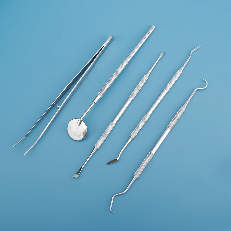 歯間清掃ツール、歯間ブラシ、プロ仕様の口腔ケアフロスピック、 - Dental Floss Picks のレビューと価格